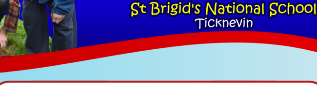 St Brigids School - Ticknevin NS